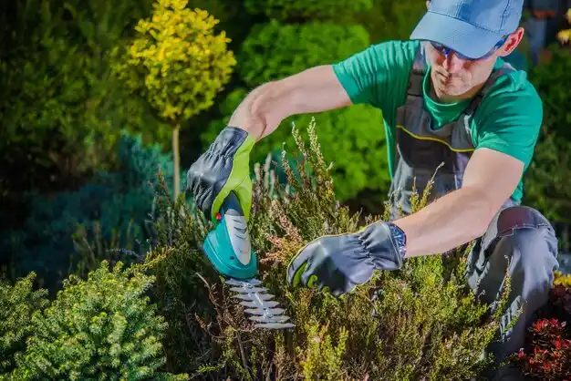 landscaping services D'Iberville